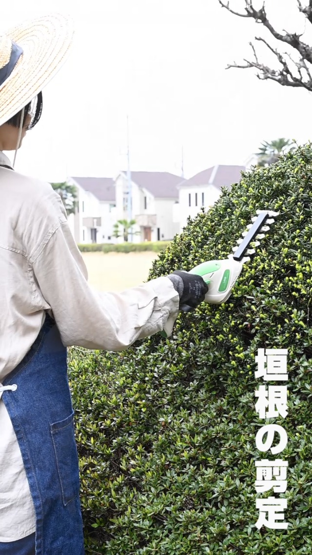 Amazon | 山善(YAMAZEN) 3.6V USB充電式 ミニヘッジバリカン